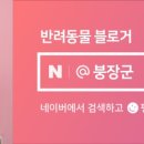 더라비문