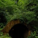 제주가마오름 일제동굴진지 이미지