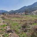 천태산로 이미지