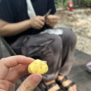 모현야영장 이미지