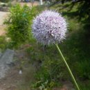 영원을위하여 이미지