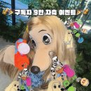 브랜디프