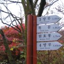 청룡동-37 이미지