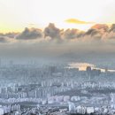 내맘대로 이미지