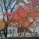 남재경로당 | 식후 1시간 혈당 스파이크 원인
