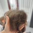 괴정 미용실 | 심리학자의 미용실 부산괴정점 아이롱펌 후기