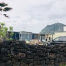 산방산탑부동산공인중개사사무소 이미지