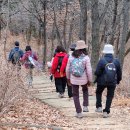 2025.12.06(토) 만월산 둘레길/유하 이미지