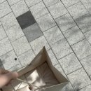 진솔미과점 이미지