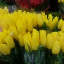 구림시장 이미지