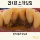 광교중앙로 이미지