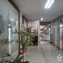 한광미술관 Daum카페