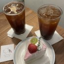코티지프룻 | 창원 가로수길 카페 케이크 맛집 코티지프룻 내돈내산 솔직후기