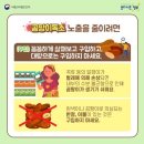 영아유통 이미지