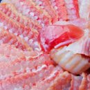 목포참홍어 이미지