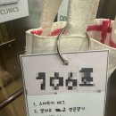 별내마리산부인과의원 | 별내 마리산부인과 산전검사 후기/남자 검사 후기/주차/소요시간