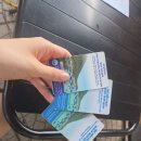 리얼참 | [다낭 여행] 마이리얼트립 참섬 호핑투어 씨워킹 내돈내산 후기(할인 방법, 호텔 픽업, 고혈압 체크 등)