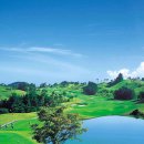 중부대로798번길 이미지