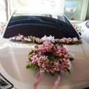 달성하빈카 이미지