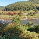 영월부동산공인중개사사무소 네이버블로그