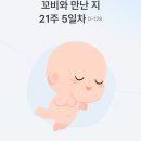 건강초음파 | 임산부 21주차 필수검사 : 정밀 초음파 후기 아들 확정🌶️ +아기 건강 체크