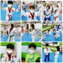 동탄 한울태권도장 이미지