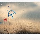 드림 행정사 이미지