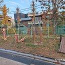 서울도림초등학교 이미지