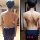 제약공단4길 | 침술배우기에 관심 많은 5060중년을 위한 침술이야기_서양의술처럼 동양의술의 분과(分科)를 보며...