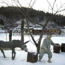 군 전체가 거대한 관광단지, ‘한국의 알프스’ 평창 이미지