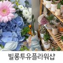 빌롱투유