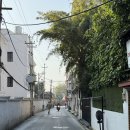 대종다방 | 타멜에서 차 마시고 박타푸르로, 박타푸르 -셋째날- 26.01.26 上 + 네팔 환전