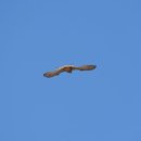 임대웅한의원 이미지