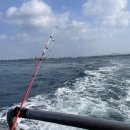 차귀도 약국 이미지