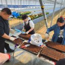 아산 장애인 직업재활시설 이미지