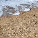 동해파도소리 이미지