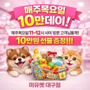 도그플러스 애견미용 이미지