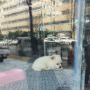 김밥천국화곡역점 이미지