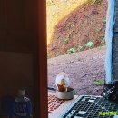 고실농장 이미지