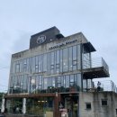 신진말 | 인천 서구 분위기 좋은 대형카페 가좌동 반려동물 동반 카페 디벨로핑룸 가좌점 내돈내산