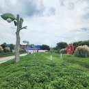 함평엑스포 공원에서 이미지