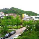 서울대학교
