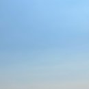 디 오아시 이미지