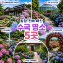진해꽃예술중앙회 | [창원] 수국 명소 추천, 아직 늦지 않았어요! 7월 꽃구경 명소 5곳