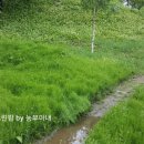 종명농장 이미지