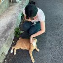 강릉오뎅강릉빙수 | [하계휴가 1-4] 서울 삼각지,군산,이후 8월 일상 ☁️☁️