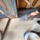 악쓰는 하마 2 이미지