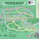 더 앤 서귀포