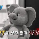 딩동댕 이미지