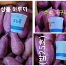 3가지 한박스 &#34;고구마&#34;10kg=＞한번에 3가지 맛을 본다.(호박.밤.하루까) 이미지